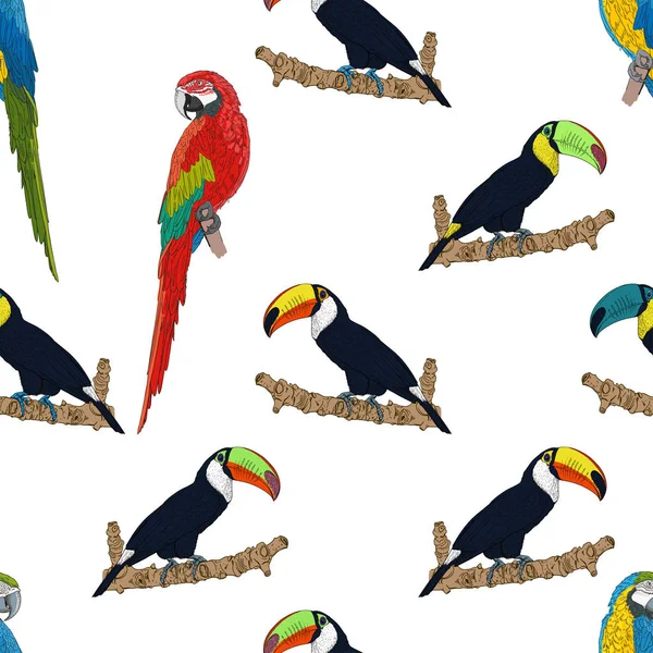 Sömlöst mönster med tukaner och papegojor fåglar — Stock vektor