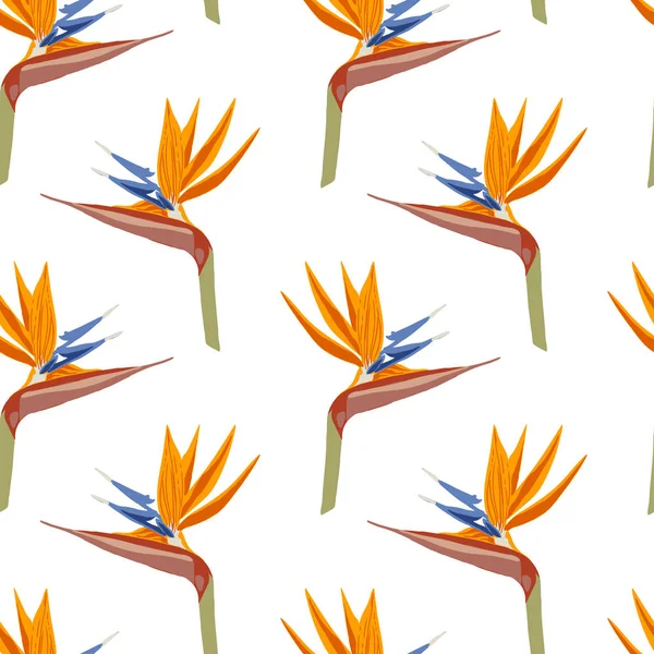 Modèle Partir Images Fleurs Strelitzia Fleurs Tropicales Orange Sur Fond — Image vectorielle