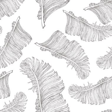 Beyaz arka planda siyah ve beyaz palmiye dalları. Taslak şeklinde taslak çizmek. Farklı yüzeyler için kusursuz desen.