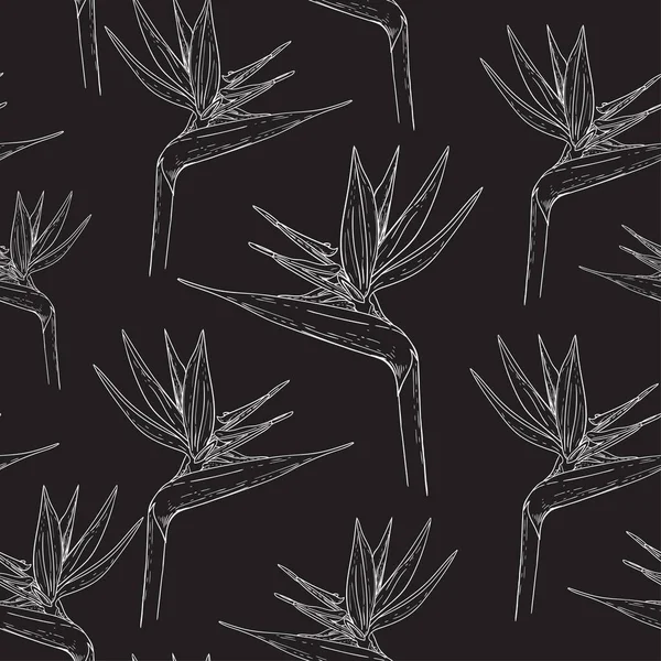Outline image of strelitzia flowers. Separate floral elements in a white outline on a black background. Seamless vector pattern for different surfaces.
