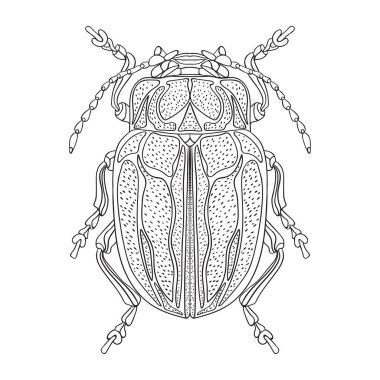 Büyük bıyıklı böcek. Siyah ve beyaz vektör çizimi. Giysilerdeki posterler ve parmak izleri için uygun..