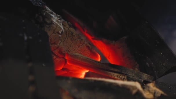 Dřevěné Uhlí Hoří Grilu Kebabu Oheň Hoří Oheň Grilování Oheň — Stock video