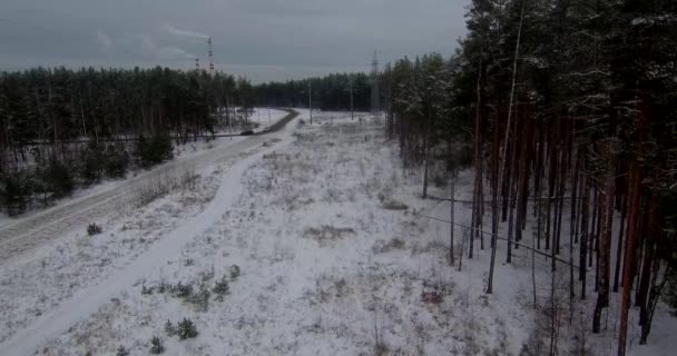 Kışın çok güzel bir orman. Karlı orman. Çok fazla kar var. — Stok video