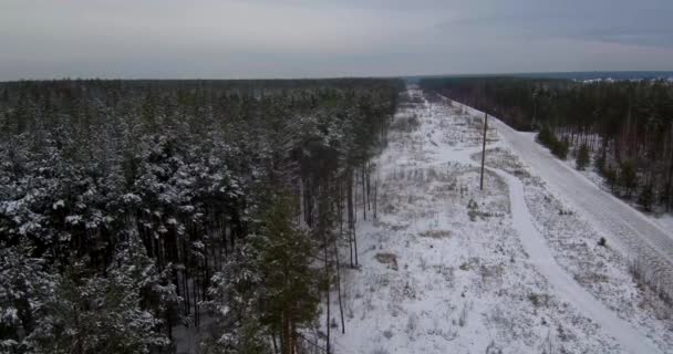 冬の美しい森。雪の森だ。雪がたくさん。 — ストック動画