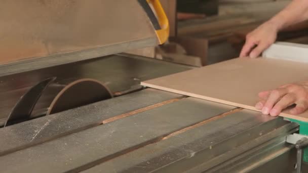 Azienda produttrice di mobili. Una grande impresa. Lavorazione del legno. Macchine utensili . — Video Stock