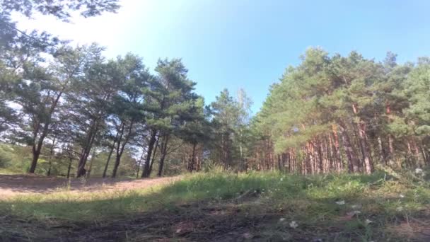 Ten chlap jezdí na motorce v lese na hřišti. Nebezpečná jízda na motorce. — Stock video