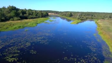Adam yazın bir spor bisikleti sürüyor. Göl kenarında.