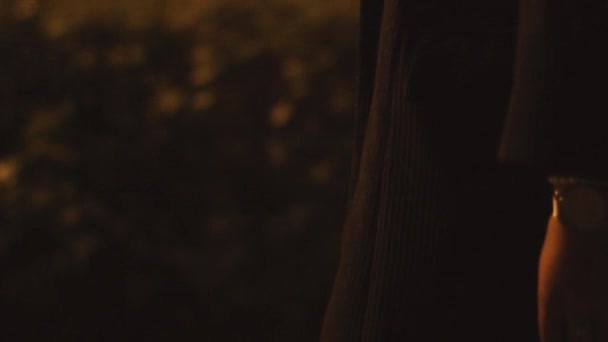 La fille marche seule le soir. La fille s'admire. Fille marche dans la ville 