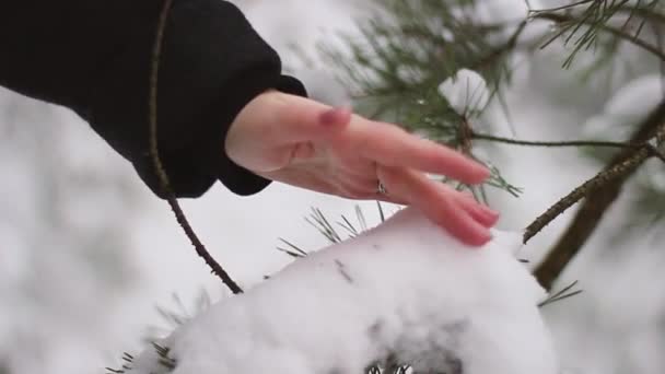 Egy lány sétál az erdőben. Megható hó. Erdő a hóban. A lány jól érzi magát.. — Stock videók