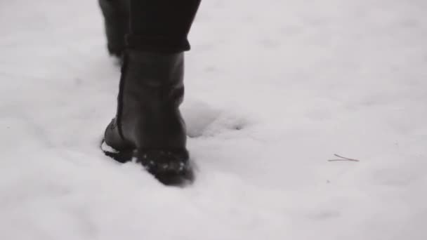 森の中を女の子が歩いている。雪に触れる。雪の中の森。女の子は楽しんでる. — ストック動画