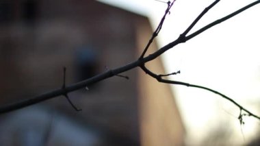 Adam terk edilmiş bir binadan geçiyor.