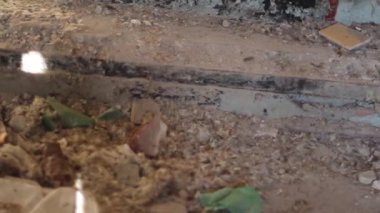 Adam terk edilmiş bir binadan geçiyor.