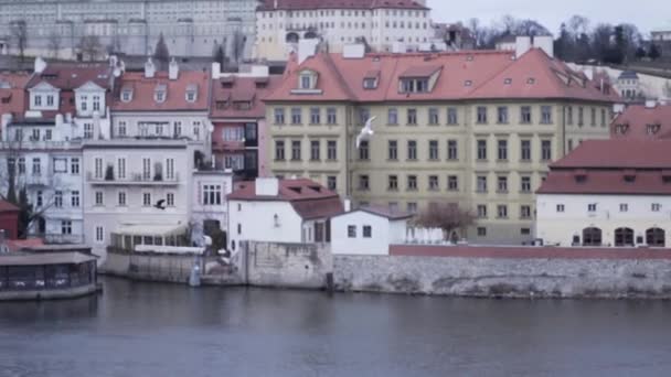 Un buen lugar. La hermosa ciudad de Praga. El Puente de Carlos. Praga en el otoño — Vídeo de stock