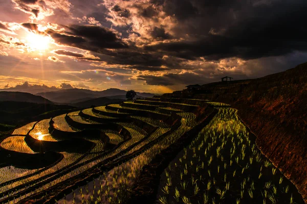 Photograph of terraced paddy field in cloudy and rainy day in Chiang Mai, Thailand — Stock Photo, Image