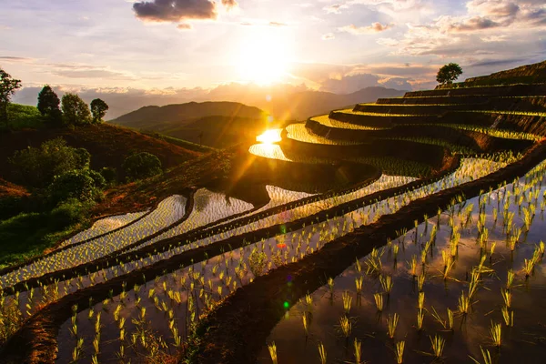 Fotografía de los campos de arroz con terrazas en días nublados y lluviosos en Chiang Mai, Tailandia. —  Fotos de Stock