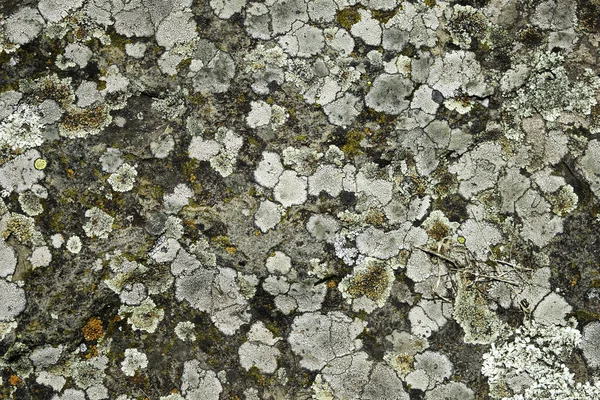 The surface of old slate stone for background, texture — Stock Photo, Image