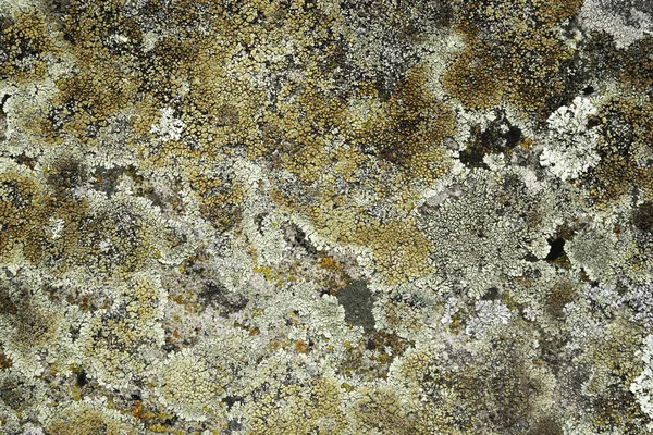 Поверхность старого камня для фона, текстуры — стоковое фото