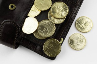 1 dolar değerindeki sikkeler beyaz arka plandaki bir çantadan dökülür.