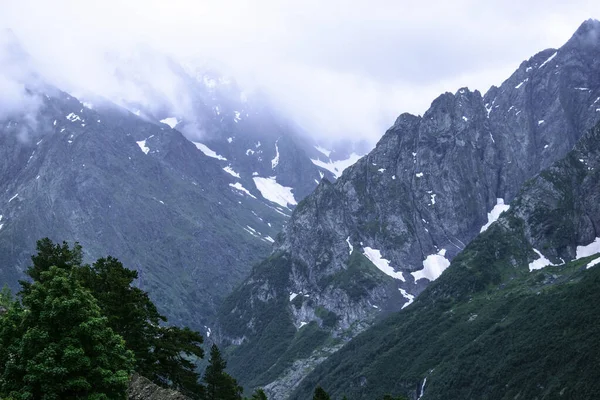 Berglandschaft - Gebirgswald, Felsen Gletscher Schneewolken, dombay, karachay-cherkessia, russland — Stockfoto