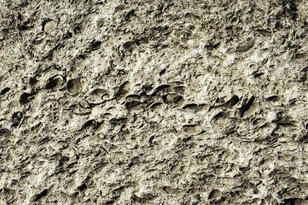 Egy régi időjárású héj kő felület háttér textúra háttér — Stock Fotó