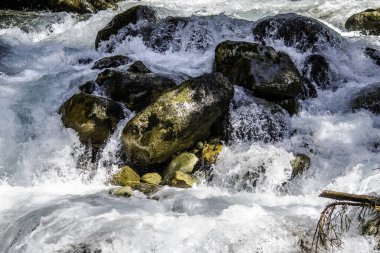 Fırtınalı dağ nehrinin suyu taşların ve kayaların arasında akıyor.