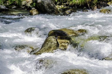 Fırtınalı dağ nehrinin suyu taşların ve kayaların arasında akıyor.