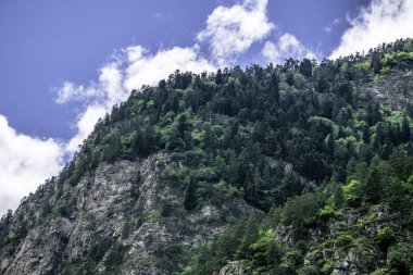 Dağ manzarası - dağlar orman, kayalar buzullar kar bulutları, Dombay, Karachay-Cherkessia, Rusya