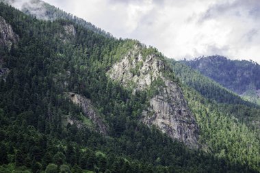 Dağ manzarası - dağlar orman, kayalar buzullar kar bulutları, Dombay, Karachay-Cherkessia, Rusya