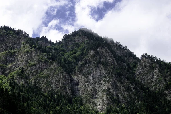 Paisagem de montanha floresta de montanhas, gelo geleiras nuvens de neve, Dombay, Karachay-Cherkessia, Rússia — Fotografia de Stock