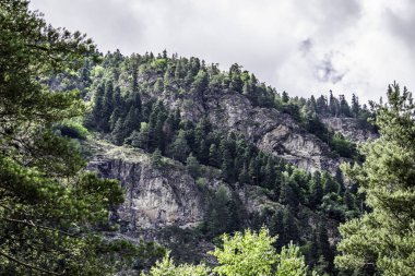 Dağ manzarası - dağlar orman, kayalar buzullar kar bulutları, Dombay, Karachay-Cherkessia, Rusya
