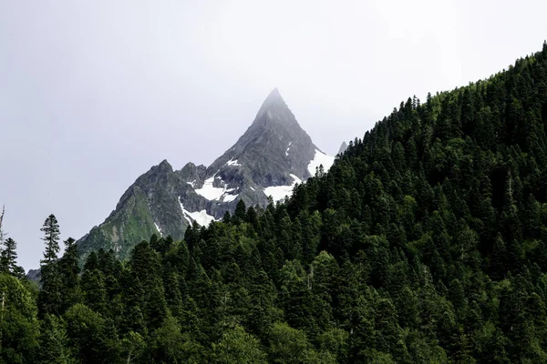 Mountain landscape - mountains forest, rocks glaciers snow clouds, Dombay, Karachay-Cherkessia, Russia — Stock Photo, Image