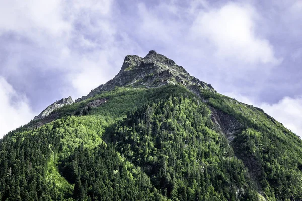 Paisagem de montanha floresta de montanhas, gelo geleiras nuvens de neve, Dombay, Karachay-Cherkessia, Rússia — Fotografia de Stock