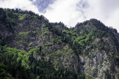 Dağ manzarası - dağlar orman, kayalar buzullar kar bulutları, Dombay, Karachay-Cherkessia, Rusya