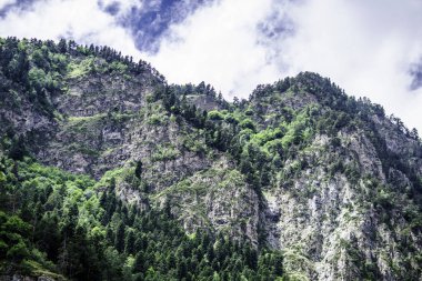 Dağ manzarası - dağlar orman, kayalar buzullar kar bulutları, Dombay, Karachay-Cherkessia, Rusya