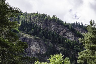 Dağ manzarası - dağlar orman, kayalar buzullar kar bulutları, Dombay, Karachay-Cherkessia, Rusya