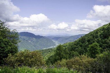 Dağ manzarası, dağlar, yeşil ağaçlar, vadi, buzullar. Arkhyz, Karachay-Cherkessia, Rusya