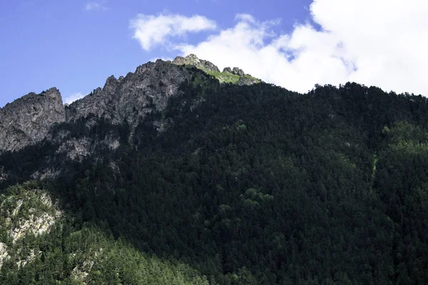 Berglandschaft - Gebirgswald, Felsen Gletscher Schneewolken, dombay, karachay-cherkessia, russland — Stockfoto