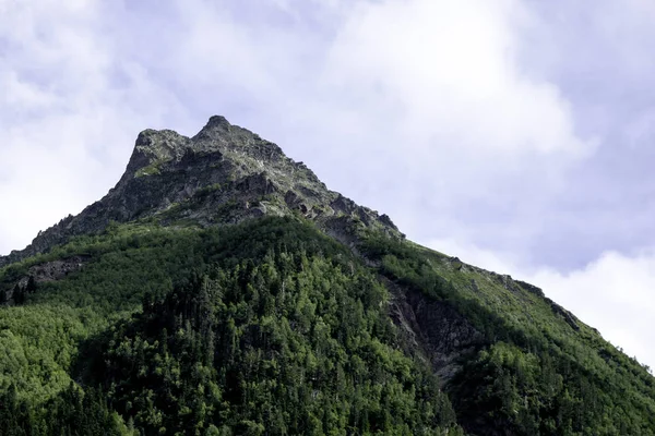 Paisagem de montanha floresta de montanhas, gelo geleiras nuvens de neve, Dombay, Karachay-Cherkessia, Rússia — Fotografia de Stock