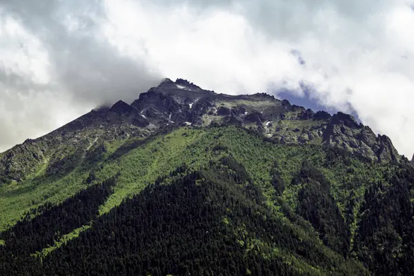 Bergslandskap - fjällskog, glaciärer snömoln, Dombay, Karachay-Cherkessia, Ryssland — Stockfoto