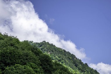 Dağ manzarası, dağlar, yeşil ağaçlar, vadi, buzullar. Arkhyz, Karachay-Cherkessia, Rusya