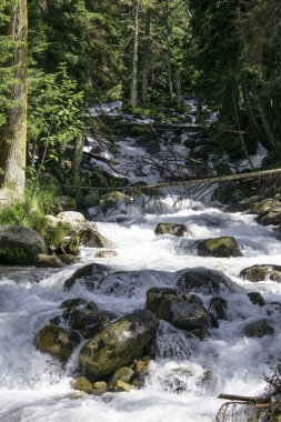 Fırtınalı dağ nehrinin suyu taşların ve kayaların arasında akıyor.