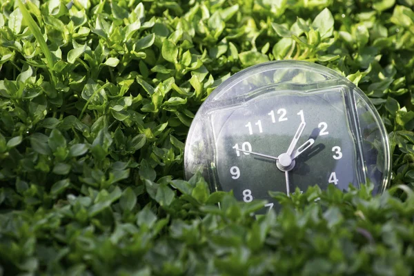 La transición a la hora de verano, la llegada de la primavera, el reloj en el fondo de la hierba de primavera verde brillante con un lugar para la inscripción, día soleado brillante —  Fotos de Stock