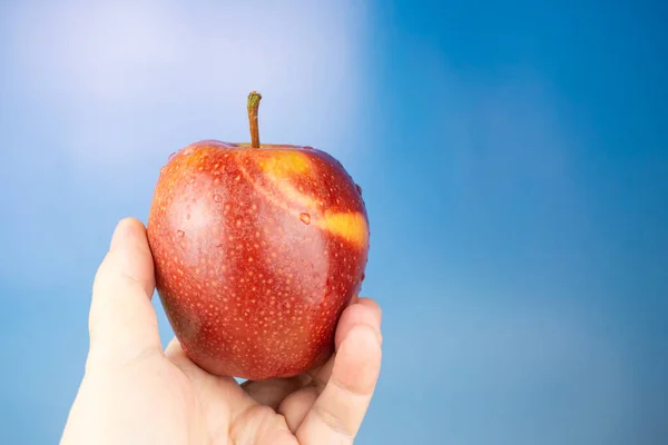 Elinde Taze Kırmızı Elma Meyvesi Mavi Gökyüzü Arkaplanı Kopyalama Alanı — Stok fotoğraf