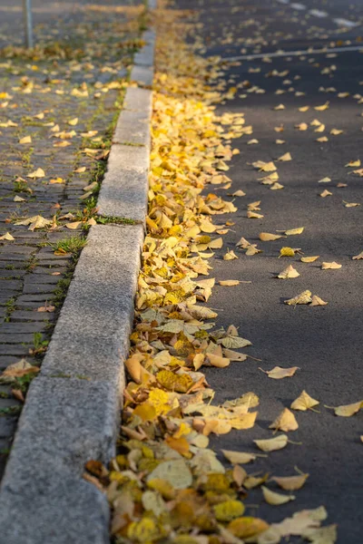 Kamień Węgielny Jesienią Dużą Ilością Kolorowych Liści — Zdjęcie stockowe