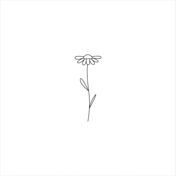 Camomila, camomila flor floral mão desenhada gravura vetor ilustração. Flor branca sobre branco. rabiscos —  Vetores de Stock