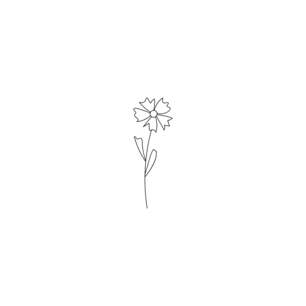 Elemento floral dibujado a mano, aciano o ambrosía sobre un fondo blanco aislado. Doodle, ilustración de esquema simple . — Vector de stock