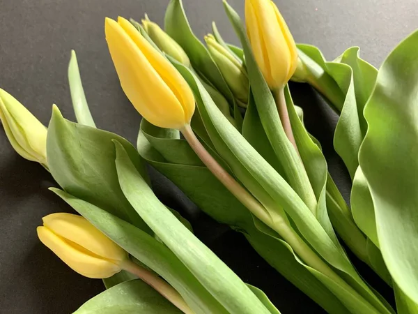 Yellow tulips bouquet on black background — Stock Photo, Image