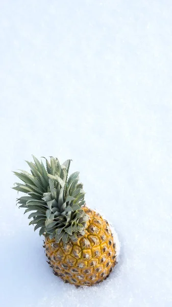 Grote Ananas Sneeuw — Stockfoto