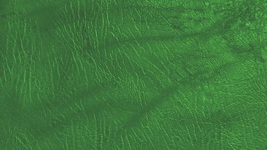 Eko deri yeşil renk doku 