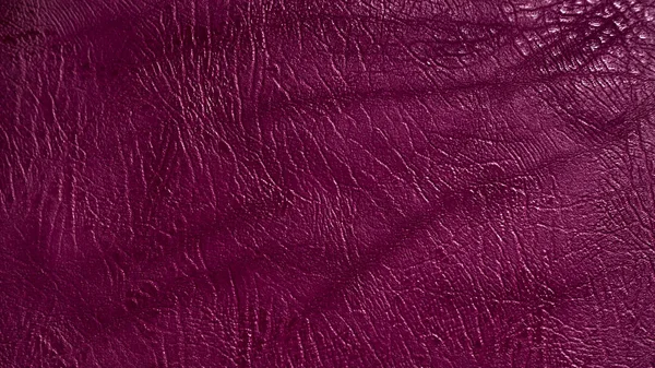 Eco leather purple color texture — Stock Photo, Image